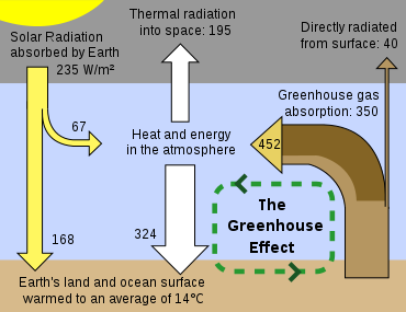 Plants Use CO2 to live